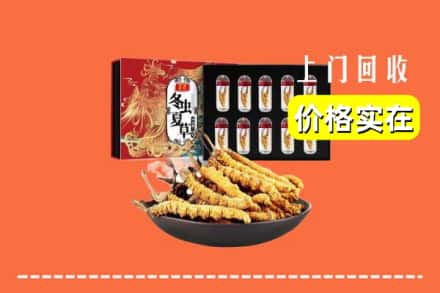 伊犁伊宁市回收冬虫夏草